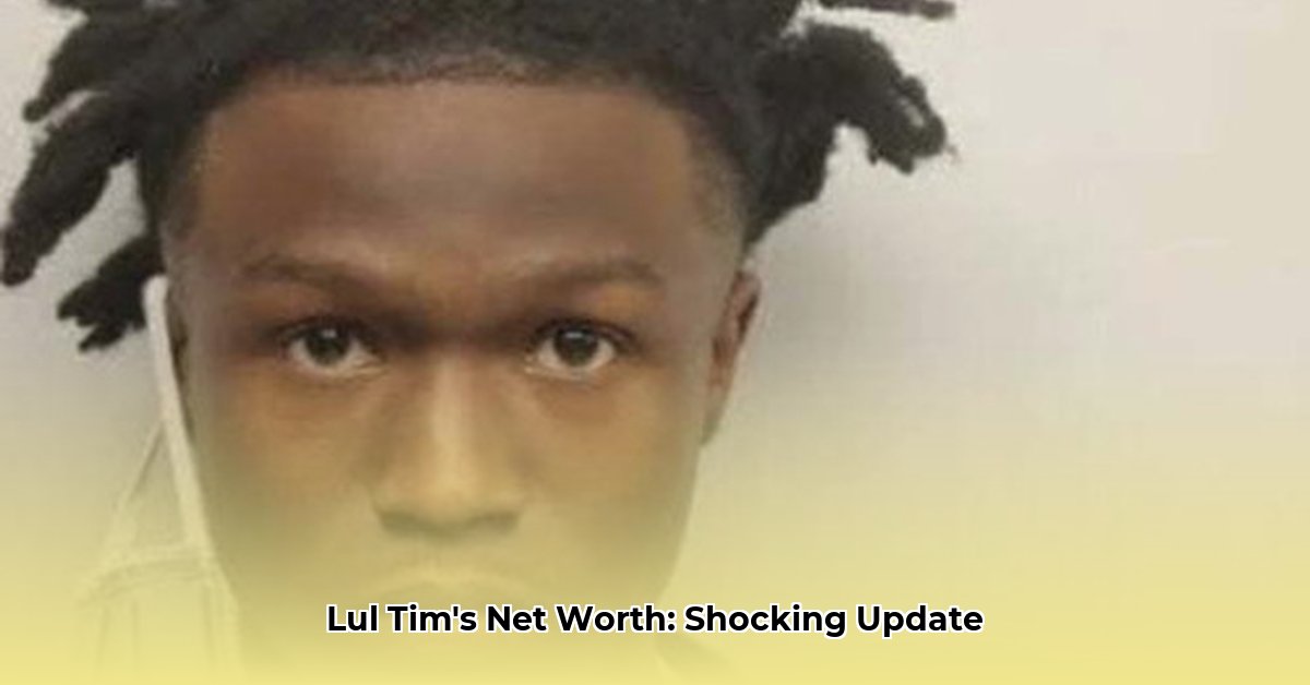 lul-tim-net-worth